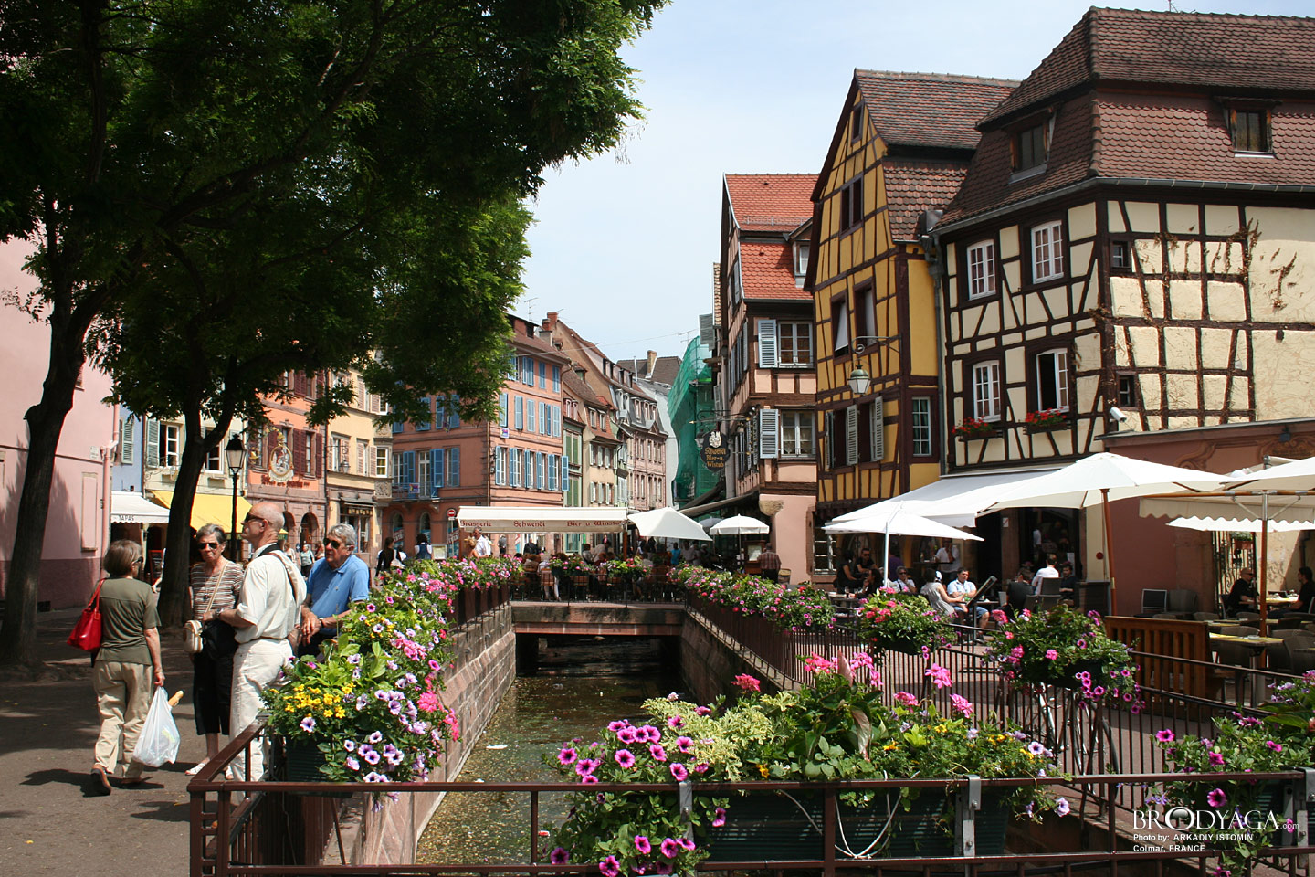 Colmar
